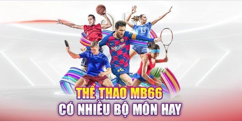 cac-the-loai-ca-cuoc-the-thao-mb66