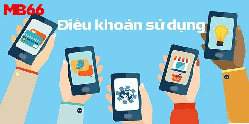 Những điều khoản MB66 cơ bản cần ghi nhớ
