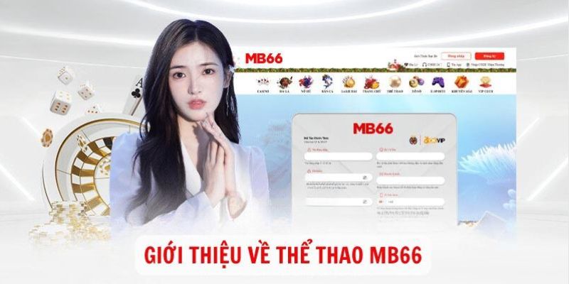 doi-net-ve-the-thao-mb66
