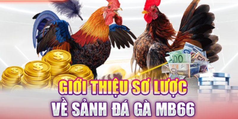 gioi-thieu-muc-da-ga-tai-san-choi-mb66