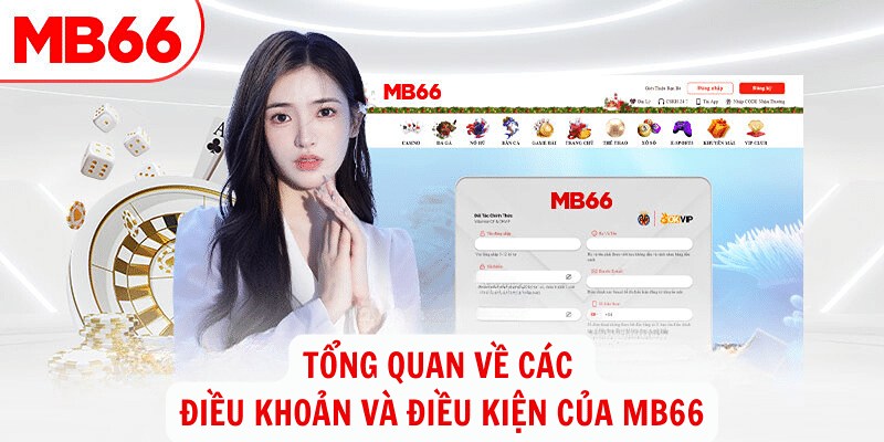 Tổng quan điều khoản điều kiện mb66