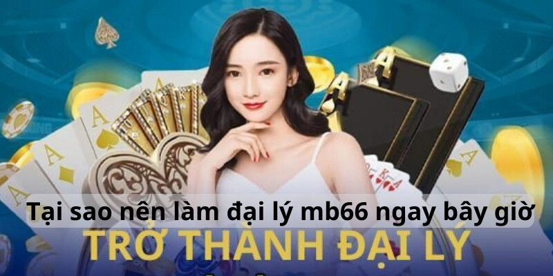 Những lý do nên trở thành đại lý MB66