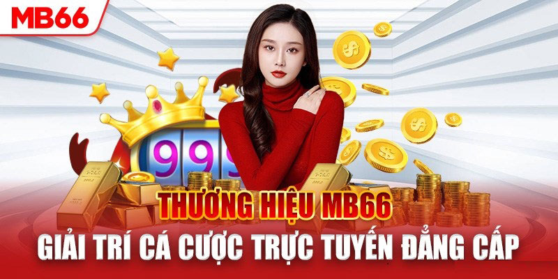 Thông tin giới thiệu MB66 cơ bản
