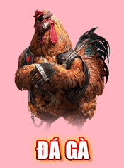 đá gà